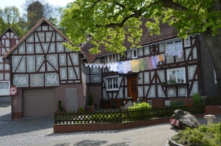 Gestaltete Putze in Dautphetal-Holzhausen mit floralen Motiven, Ausführung 20. Jahrhundert, Fotoaufnahme 2014