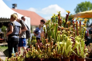 Eichenzell Gartenfest 2017