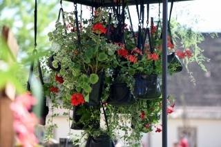 Eichenzell Gartenfest 2017