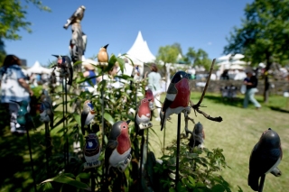 Eichenzell Gartenfest 2017