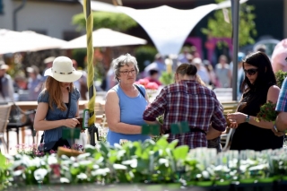 Eichenzell Gartenfest 2017